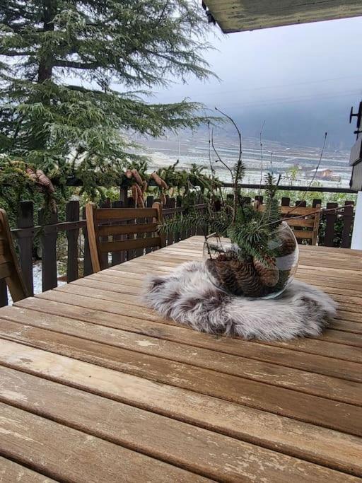 Apartment Casa Vacanze Morgex
